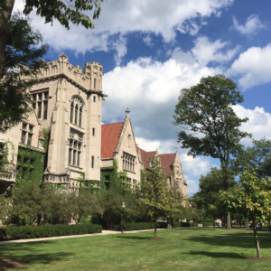 The Long and Winding Road of Finding one’s Research Area or The Agony of Choice