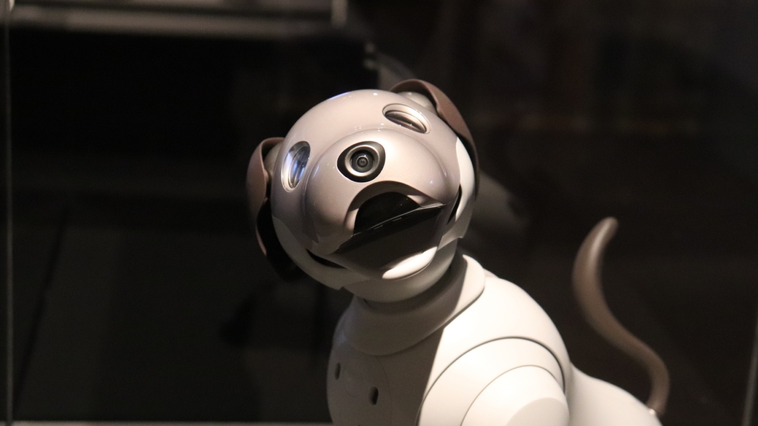 robot-g78f84ae61_1920
