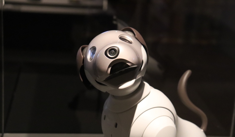 robot-g78f84ae61_1920